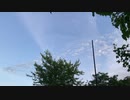Backyard Tour