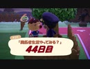【N.Sw】" あつまれ どうぶつの森 " 開拓者生活やってみる？　44日目　【生放送】