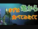 まずは亀から食べてみたくて【タートルトーク】東京ディズニーシー