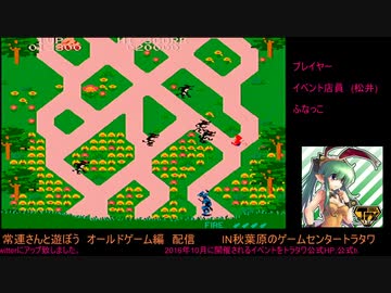 ねこ自慢ブログ Mame更新