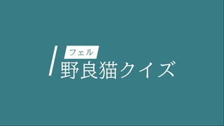 野良猫クイズ（にじさんじ文野環）