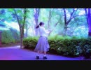 【ももかん】　ニア　踊ってみた　【異次元】