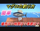 あつまれどうぶつの森　マグロの釣り方について！魚図鑑コンプへの道！マグロ釣る場所は？時間は？季節は？　【あつ森】