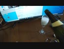 安いシャンパンを飲むだけ