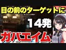目の前で後ろを向いているターゲットに13発弾を外すスバルちゃんのガバエイムがひどすぎるw【大空スバル】
