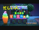 【あつまれどうぶつの森】忙しい人のためのあつ森実況【13日目】