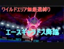 【ポケモン剣盾】ワイルドエリアで無厳選縛り　part1