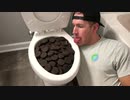 オレオのクッキーをトイレに流してみた３