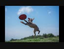 きみと走ったあの日 (album mix)