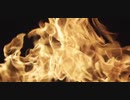 【歌ってみた】FIRE GROUND【いお】