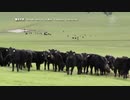 中国がオーストラリアに逆ギレ嫌がらせ