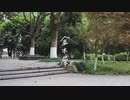 【紅蓮の焔】金木犀【踊ってみた】