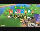 【あつまれどうぶつの森】カブで億万長者を目指す男＃四週間目