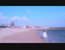 美しい国　人人オピトピア　ＰＶ