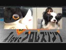 【らぶぷろ博士】相羽あいな 富田麻帆の I Love プロレスリング 第11試合 (part1/2)
