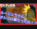 【ゼルダの伝説BotW】無茶なお願い叶えてゲルドのお宝をもらう番外編 part最終回【実況】