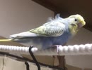 お札で遊ぼう！？