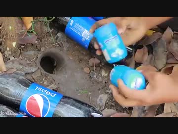 ホモと見る炭酸飲漁