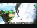 【RTA番外編】滝の国 DSS解説
