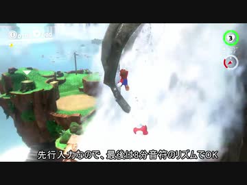 【RTA番外編】滝の国 DSS解説