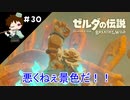 【実況】マスターモードでやりこみサバイバル生活！！　Part30　【ゼルダの伝説　BotW】