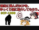 【SCP-1000】ゆっくり霊夢と魔理沙に、適当に決めたSCPを紹介してもらう。【３作目】