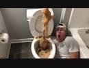 メントスコーラをトイレに流してみた４