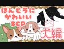 ほんとうにかわいいSCP 第4回【SCP紹介】
