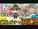 離島ガチャ３０連!! ようやくあのキャラが降臨した!! 【あつまれどうぶつの森】後編　２０