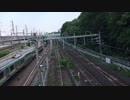 生存確認