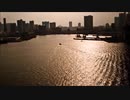 glow 歌ってみた　［鵺狐］
