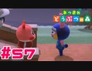 【実況】仲良しなモモチとアップル #57【あつまれどうぶつの森】