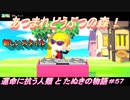 【あつ森】前人未島へようこそ！#57【あつまれどうぶつの森】