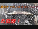 【野外飯】朝から秋刀魚食いたかったので焼いてみた