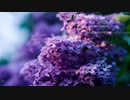トランス系ゲーム音楽集 Vol.7