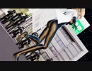 【Ray-mmd】ボディスーツプリンツで[A]ddiction
