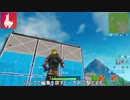 【小技】編集の後一方的に撃つ方法【FORTNITEフォートナイト】