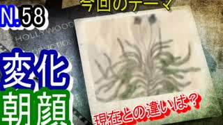 【歴史解説】江戸時代にこんなアサガオが存在したの！？「朝顔花寄」の朝顔にびっくり！！【江戸時代】