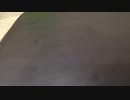 ウィーアー！歌ってみた（兄）
