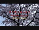君ヲ想イ桜ニ泣ク