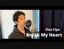 【歌ってみた】Dua Lipa - Break My Heart