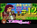 【姉弟で実況】PS「アンジェリークspecial2」弟が宇宙を育てる初見プレイ　#12