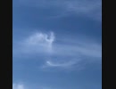 無条件の波動206