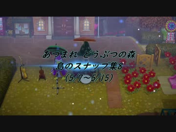 あつまれ どうぶつの森 島のスナップ集8 (5/7～5/15)