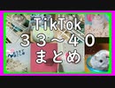 #48 Tik Tok ３３～４０まとめ 番外編５【ハムスター物語】