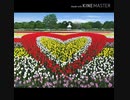 世界に一つだけの花ＳＭＡＰ×槇原敬之