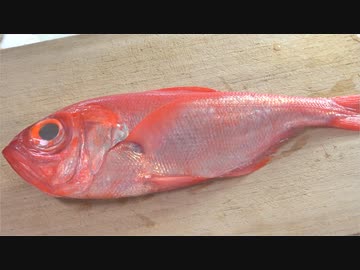 金継ぎと金目鯛【長火鉢とおっさん157】