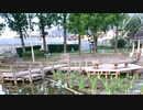 出演出来なかった！神セブンリスナーの皆様ごめんなさい！／ZATSUDANic　NATIVE