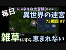 【トルネコの大冒険3】 ほぼ毎日まったり初異世界の迷宮挑戦 トルネコ75戦目 #7
