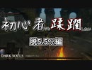 ダクソ芸人とは ダクソゲイニンとは 単語記事 ニコニコ大百科